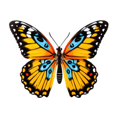 Fototapeta premium Butterfly isolated on transparent background. Generative ai