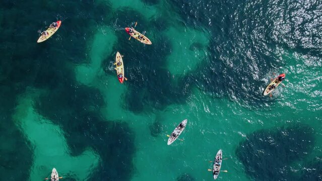 canoeing and kayaking people in the open sea with transparent water