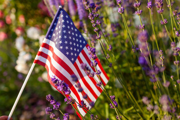 Independence day of USA. American flag put in summer garden by flowers at sunset. July 4th....