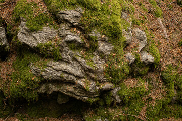 nature has created an unusual textured background