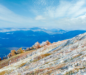 October Carpathian mountain Borghava plateau with first winter snow and autumn colorful bilberry...