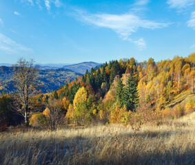 Autumn  mountain Nimchich pass (Carpathian, Ukraine) and colorful trees on hill.