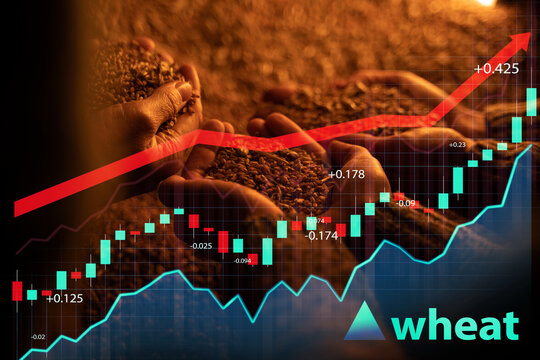 Shot of farmers women holding wheat grains on their hands and graphs with arrow.