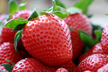 Red Strawberry