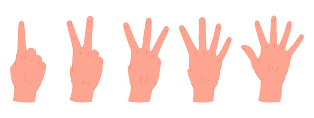 Counting hands gestures. Cartoon hand palms with count from one to five gestures. Human hands with countdown gestures flat vector illustration set