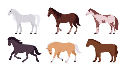 Domestic horses. Cartoon thoroughbred graceful farm or ranch animals flat vector illustration set. Horses collection