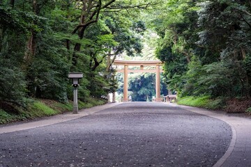 Beautiful park in the middle of Tokyo Japan