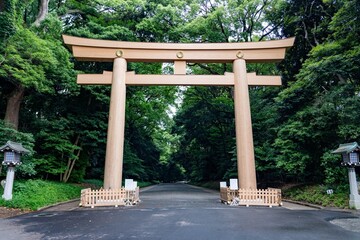 Torii gate at the entrance of a lush green forest park in Tokyo Japan