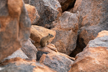 Augrabies Falls National Park in South Africa with the Orange River running through it.