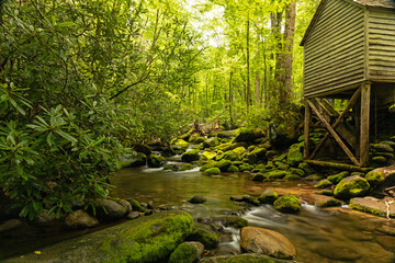 Alfred Reagan Tub Mill near Gatlinburg in the Great Smoky Mountains National Park