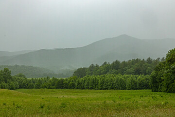 landscape in the Great Smoky Mountains National Park near Cades Cove