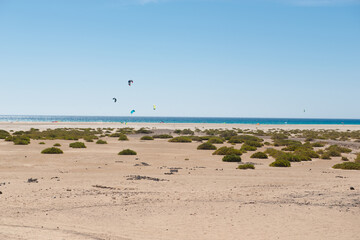 Kite sails and windsurfing on a paradisiacal beach