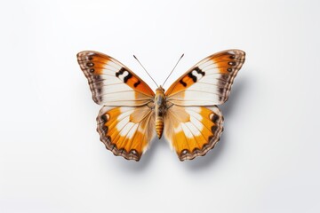 Fototapeta na wymiar Whimsical Butterfly on a White Background, Generative AI