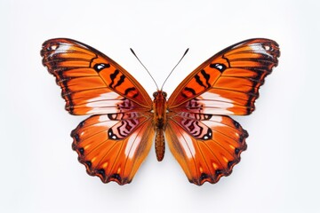 Obraz na płótnie Canvas Whimsical Butterfly on a White Background, Generative AI