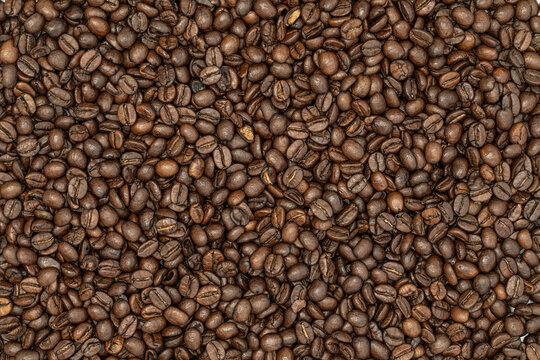 Backdrop of brown coffee espresso beans in very high detail 