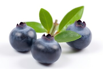 three fresh blueberries with green leaves isolated on a white background. Generative AI