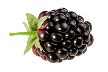 Blackberry isolated on white background with clipping path