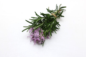 白背景の花付きローズマリー
