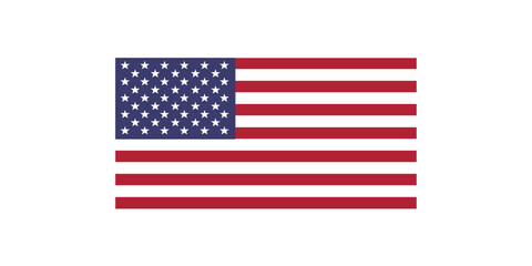 american flag on white.Vector illustration