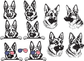 German Shepherd Police Dog Peeking,guard dog breed