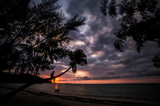 Unrecognizable man sitting on palm tree trunk in evening