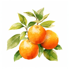 Orange Watercolor Abstract Vibrant Artistic Splash on White Background