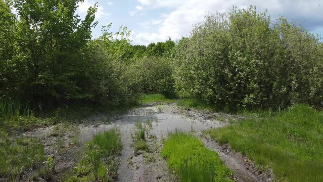 Video footage from a drone in places of a flooded dirt road. Video filming in the summer in the countryside.