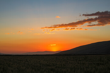 Fototapeta na wymiar sunset over the field