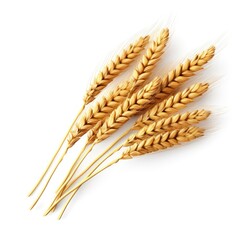 Wheat easrs isolated. Illustration AI Generative.