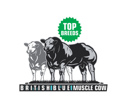 BELGIAN BLUE MONSTER CATTLE LOGO, silhouette of great strong cow standing vector illustrations