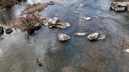 Wild natural southern river in Virginia with clear running water over rocks and stones 
