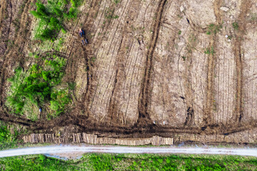 Pile of wooden logs by temporary road and huge field with freshly cut forest. Forestry industry. Increase in use of firewood due to economical recession in Europe. Aerial top down view.