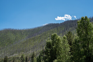 Hillside recovering from last season's fire