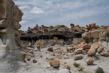 Bisti Badlands/Valley of Dreams, New Mexico