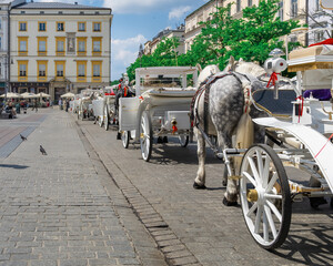 A long line of white horse-drawn carriages waiting for tourists on the gray cobbled street of the...