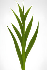 Obraz premium bamboo leaves, generative ai