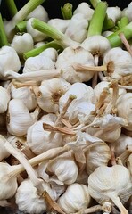 Knoblauch als Nahaufnahme und Vollbild