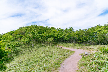 Road leading to the hill