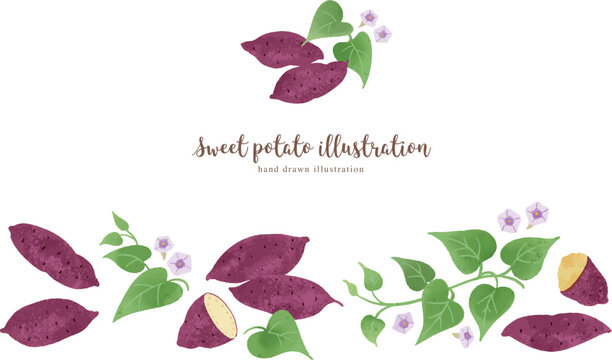 ナチュラルなタッチのサツマイモのイラスト/横レイアウト
