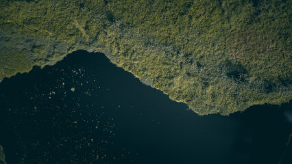 Serene Beauty: A Captivating Aerial View of the Lush Wetlands with Black Waters