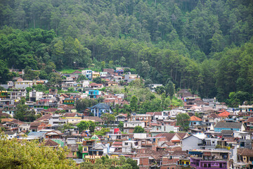 Residential settlements are starting to get denser on the hillsides of tropical forest areas
