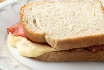 Toasted bread with mortadella and cheese.