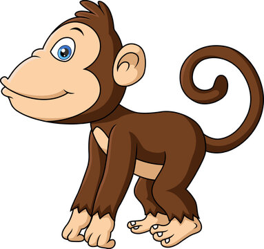 Cute monkey cartoon on white background