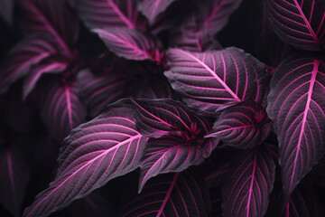 Naklejka na ściany i meble a pink leaves, in the style of new american color photography, sumatraism, tropical symbolism.. Generative AI