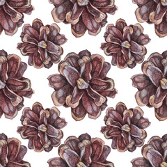 Watercolor seamless pattern hand-drawn realistic fir or pine cone on white background. Forest wallpaper for christmas celebration or invite. Nature art for card or textile. Wrapping or sketchbook