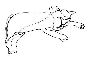 cat simple vector sketch single one or continuous line © jassmerah