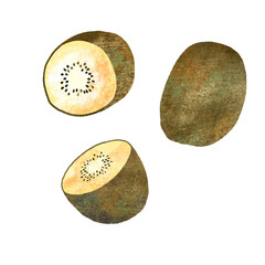 ゴールドキウイ 手描き イラスト