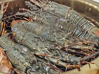 Close up photo of Spiny lobster on the grill