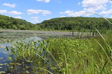 lake in the mountains