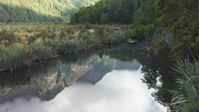 Native forest and lake, Milford Sound, New Zealand